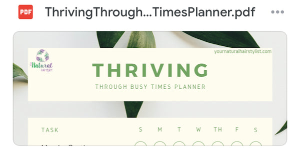 Guide to 'THRIVING THROUGH BUSY TIMES' downloadable planner